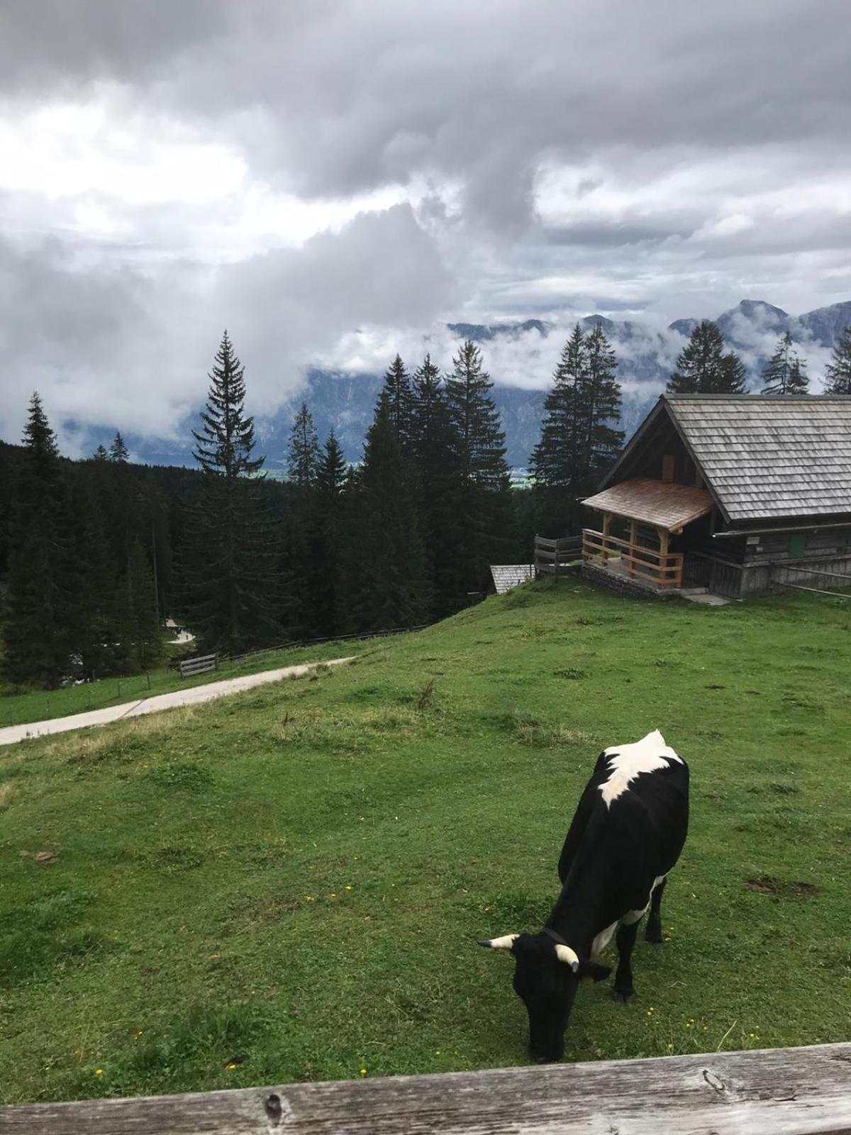 Villa Apartments Hinterer 2&5 Bedrooms Bad Goisern Bagian luar foto