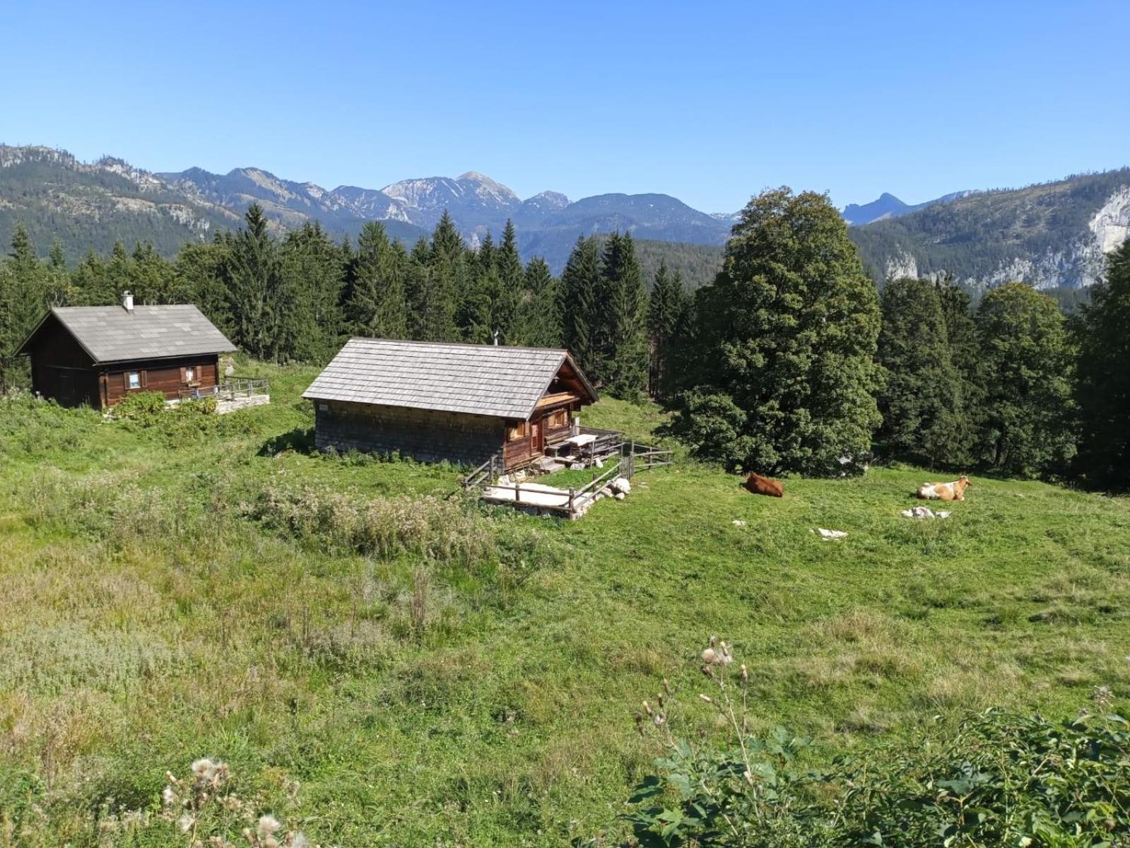 Villa Apartments Hinterer 2&5 Bedrooms Bad Goisern Bagian luar foto